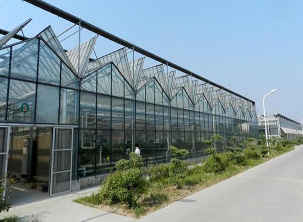 色多多官网下载阳光板温室大棚