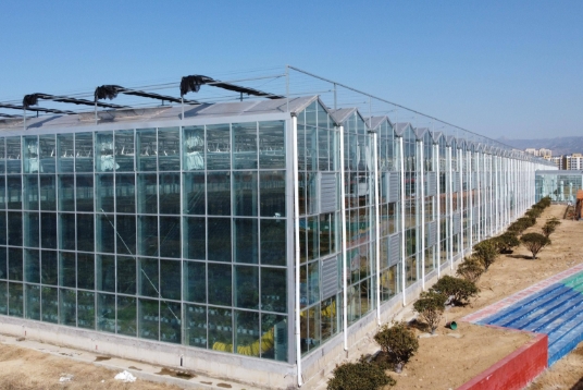 色多多官网下载阳光板温室大棚能使用多久